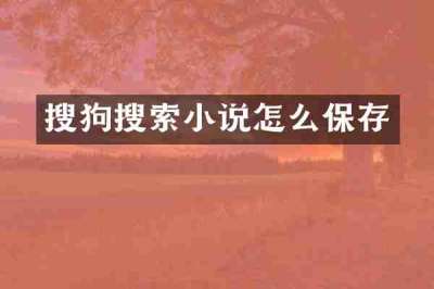 搜狗搜索小说怎么保存