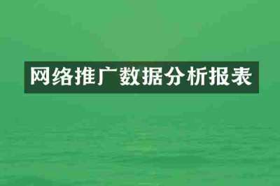 网络推广数据分析报表