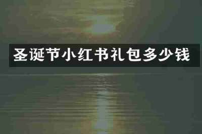 圣诞节小红书礼包多少钱