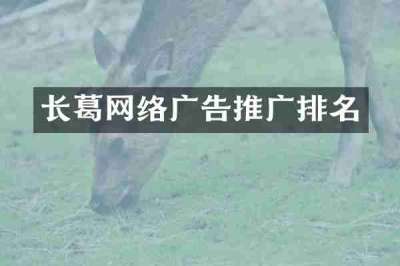 长葛网络广告推广排名