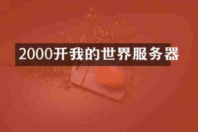 2000开我的世界服务器
