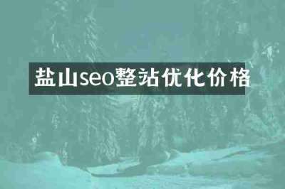 盐山seo整站优化价格