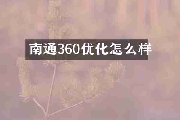 南通360优化怎么样