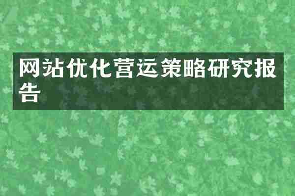 网站优化营运策略研究报告