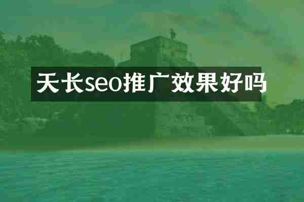 天长seo推广效果好吗