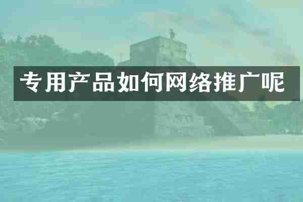 专用产品如何网络推广呢