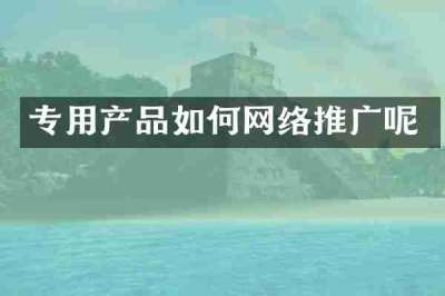 专用产品如何网络推广呢