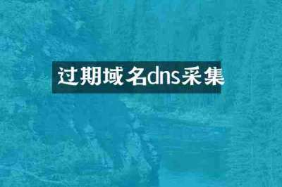 过期域名dns采集