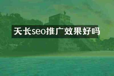 天长seo推广效果好吗