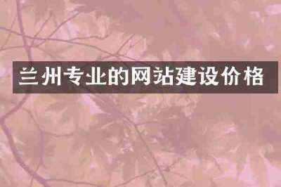 兰州专业的网站建设价格