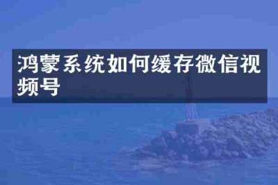 鸿蒙系统如何缓存微信视频号