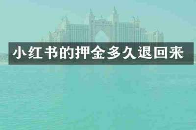 小红书的押金多久退回来