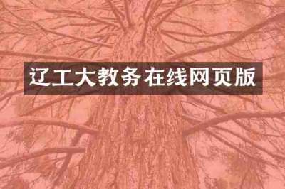 辽工大教务在线网页版