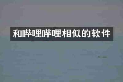 和哔哩哔哩相似的软件