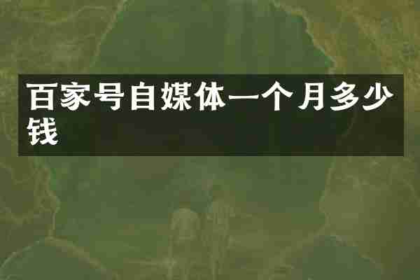 百家号自媒体一个月多少钱