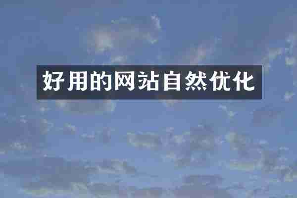 好用的网站自然优化