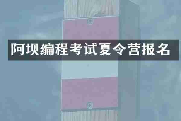 阿坝编程考试夏令营报名