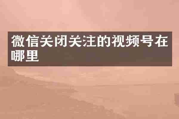 微信关闭关注的视频号在哪里