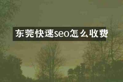 东莞快速seo怎么收费