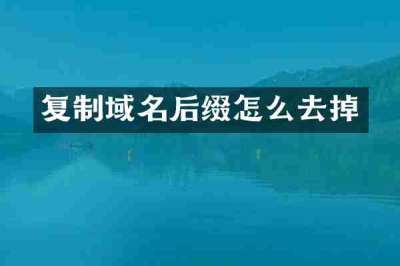 复制域名后缀怎么去掉