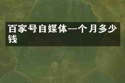 百家号自媒体一个月多少钱