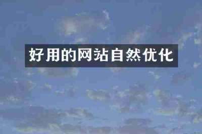 好用的网站自然优化