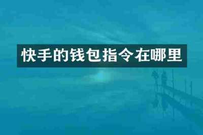 快手的钱包指令在哪里