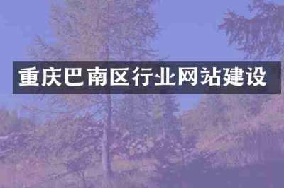 重庆巴南区行业网站建设