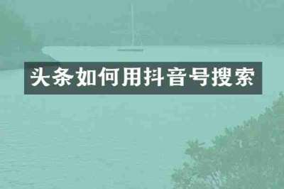 头条如何用抖音号搜索