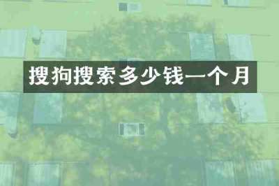 搜狗搜索多少钱一个月