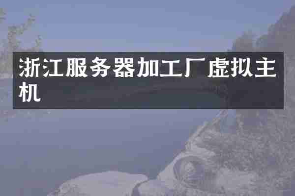 浙江服务器加工厂虚拟主机