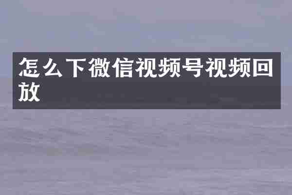 怎么下微信视频号视频回放