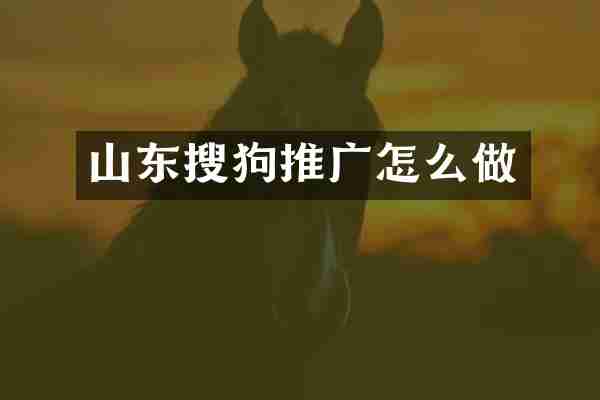 山东搜狗推广怎么做