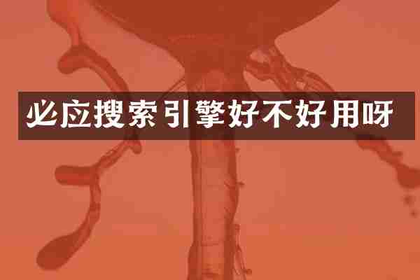 必应搜索引擎好不好用呀