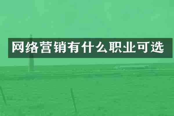 网络营销有什么职业可选
