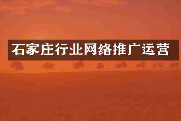 石家庄行业网络推广运营
