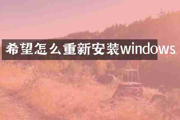 希望怎么重新安装windows