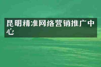 昆明精准网络营销推广中心