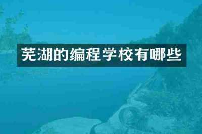 芜湖的编程学校有哪些
