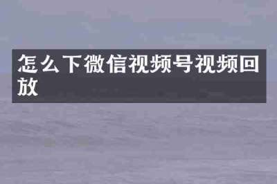 怎么下微信视频号视频回放