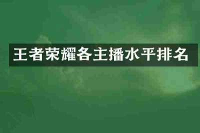 王者荣耀各主播水平排名
