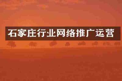 石家庄行业网络推广运营