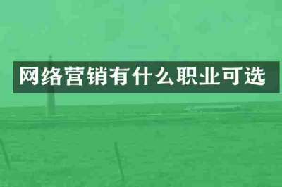 网络营销有什么职业可选