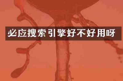 必应搜索引擎好不好用呀