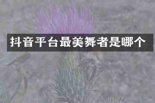 抖音平台最美舞者是哪个