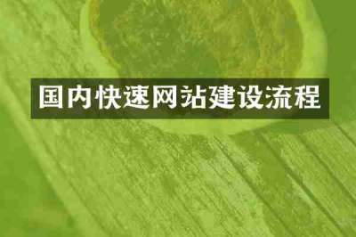 国内快速网站建设流程