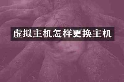 虚拟主机怎样更换主机
