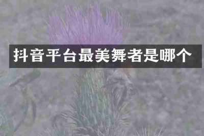 抖音平台最美舞者是哪个