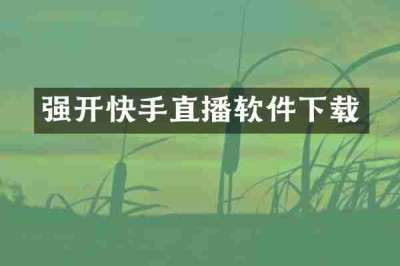 强开快手直播软件下载
