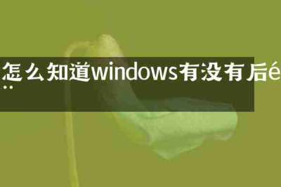 怎么知道windows有没有后门